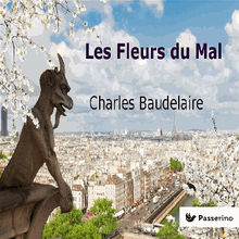 Les Fleurs du mal.  Charles Baudelaire