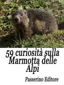 59 curiosit sulla marmotta delle Alpi.  Passerino Editore