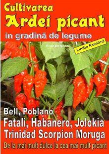 Cultivarea ardei picant in gradin? de legume.  Illustratore Elisabetta Del Medico