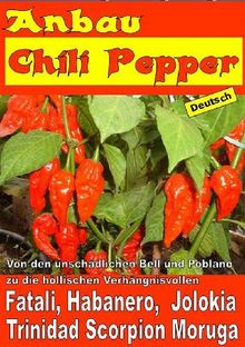 Anbau Chili Pepper .  Illustratrice Elisabetta Del Medico