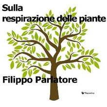 Sulla respirazione delle piante.  Filippo Parlatore