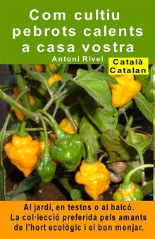 Com cultiu pebrots calents a casa vostra. Al jard, en testos o al balc.  Antoni Rivel