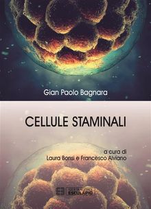 Cellule Staminali.  Laura Bonsi