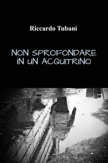 Non sprofondare in un acquitrino.  Riccardo Tubani