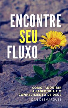 Encontre Seu fluxo.  Dan Desmarques