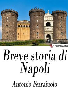 Breve storia di Napoli.  Antonio Ferraiuolo