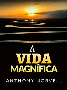 A Vida Magnífica (Traduzido).  David De Angelis