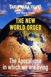 The new world order.  Carlo Maria Vigan