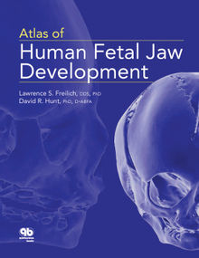 Atlas of Human Fetal Jaw Development.  David Hunt