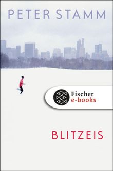 Blitzeis.  Peter Stamm