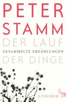 Der Lauf der Dinge.  Peter Stamm