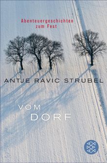 Vom Dorf.  Antje Rvik Strubel