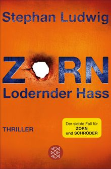 Zorn - Lodernder Hass.  Stephan Ludwig