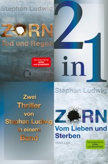 Tod und Regen / Vom Lieben und Sterben - Zwei Zorn-Thriller in einem Band.  Stephan Ludwig