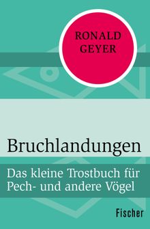 Bruchlandungen.  Ronald Geyer