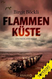 Flammenkste.  Birgit Bckli