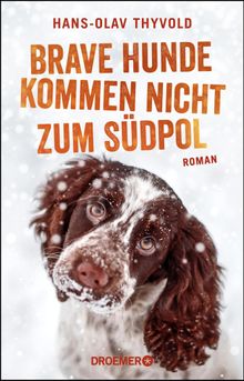 Brave Hunde kommen nicht zum Sdpol.  Andreas Brunstermann
