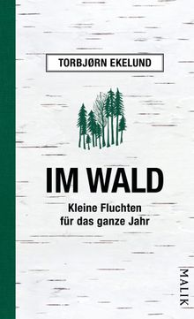 Im Wald.  Andreas Brunstermann