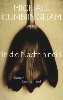 In die Nacht hinein.  Georg Schmidt