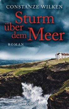 Sturm ber dem Meer.  Constanze Wilken