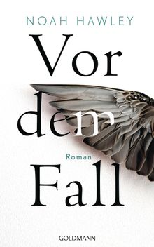 Vor dem Fall.  Rainer Schmidt