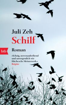 Schilf.  Juli Zeh