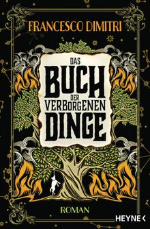 Das Buch der verborgenen Dinge.  Felix Mayer