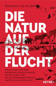 Die Natur auf der Flucht.  Benjamin von Brackel