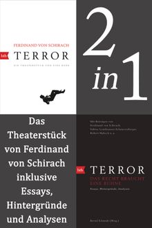 Terror: erweiterte Ausgabe.  Bernd Schmidt