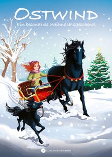 OSTWIND - Ein besonderes Weihnachtsgeschenk.  THiLO