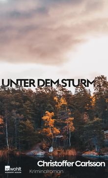 Unter dem Sturm.  Susanne Dahmann