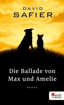 Die Ballade von Max und Amelie.  David Safier