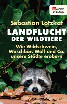 Landflucht der Wildtiere.  Sebastian Lotzkat