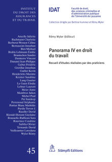 Panorama IV en droit du travail.  Rmy Wyler