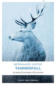 Tannenfall.  Bernhard Hofer