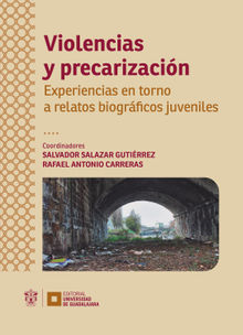 Violencias y precarizacin.  Ayeln Roco Zurbriggen