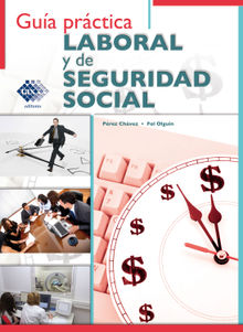 Gua prctica Laboral y de Seguridad Social 2017.  Jos Prez Chvez