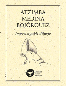 Impostergable diluvio.  Atzimba Medina Bojrquez