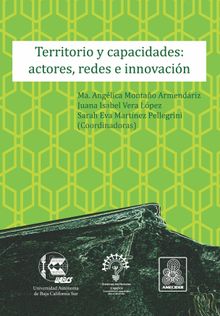 Territorio y capacidades: actores, redes e innovacin.  Anglica Montao Armendriz