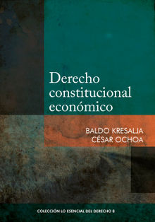 Derecho constitucional econmico.  Csar Ochoa