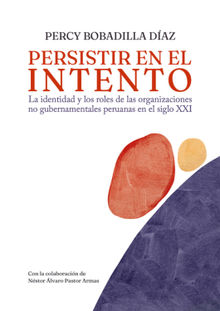 Persistir en el intento. La identidad y los roles de las organizaciones no gubernamentales peruanas en el siglo XXI.  Percy Bobadilla