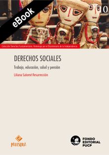 Derechos sociales.  Liliana Salom Resurreccin