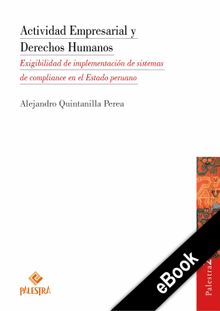 Actividad Empresarial y Derechos Humanos.  Alejandro Quintanilla Perea