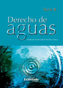 Derecho de aguas Tomo X.  Mar?a del Pilar Garc?a Pach?n