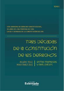 Tres dcadas de la constitucin de los derechos: entre promesas y realidades.  Julin Tole Martnez