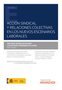 Accin sindical y relaciones colectivas en los nuevos escenarios laborales.  Lus Antonio Fernndez Villazn