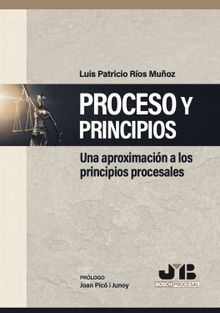 Proceso y Principios.  Luis Patricio Ros Muoz