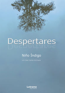 Despertares.  Nio Indigo