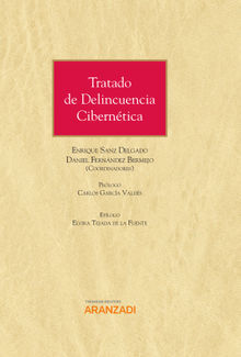 Tratado de Delincuencia Ciberntica.  Enrique Sanz Delgado