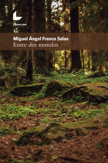 Entre dos mundos.  Miguel ngel Franco Salas